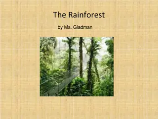 Discover the Fascinating World of the Rainforest with Ms. Gladman