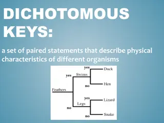 Dichotomous Keys and Cladograms in Evolutionary Biology