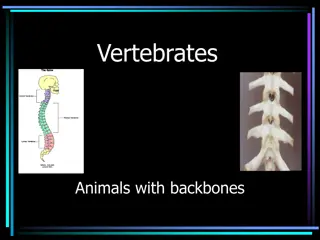 Exploring Vertebrates: Skeletons and X-rays