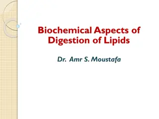 Biochemical Aspects of Lipid Digestion by Dr. Amr S. Moustafa