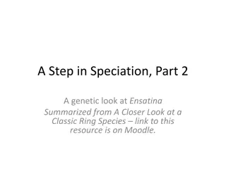 Genetic Insights into Ensatina: A Study of Ring Species Speciation