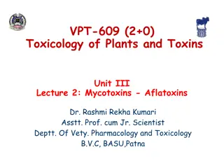 Understanding Aflatoxins: Mycotoxins and Toxicology in Plants