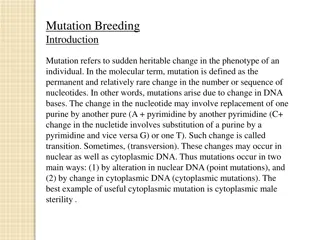 Understanding Mutation Breeding in Crop Plants