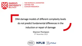 Computational Models of DNA Damage and Repair in Radiation Therapy