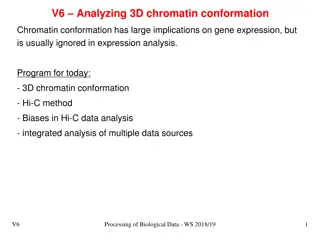 Insights into 3D Chromatin Conformation Analysis