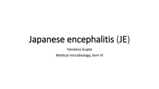 Japanese Encephalitis: Overview and Management