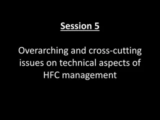 Technical Aspects of HFC Management: Overarching Issues & Solutions