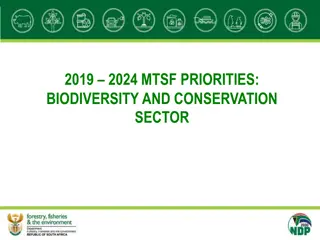 National Development Plan 2030 and MTSF Priorities for Biodiversity Sector