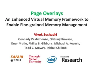 Enhanced Virtual Memory Framework for Fine-grained Memory Management