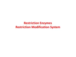 Restriction Enzymes: The Key Players in DNA Manipulation