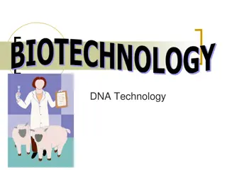 Biotechnology: From Ancient Techniques to Modern Genetic Engineering