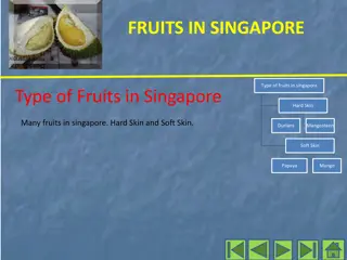 Discover the Diverse Fruits of Singapore