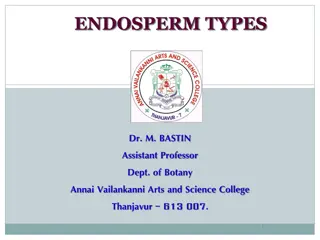 The Types of Endosperm in Angiosperms