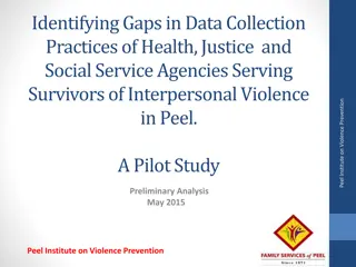 Analysis of Data Collection Practices for Interpersonal Violence Services in Peel