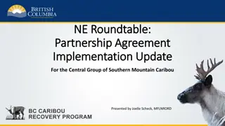 Update on Central Group of Southern Mountain Caribou Partnership Agreement Implementation