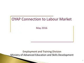 Strategies for Local Labour Market Information Collection and Distribution