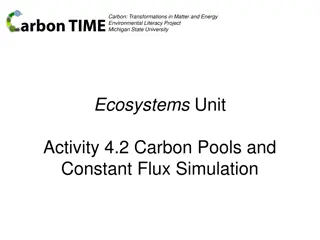 Carbon Transformations in Matter and Energy: A Simulation Study