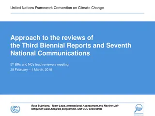 Challenges and Milestones in Reviewing Biennial Reports and National Communications in the UNFCCC Process