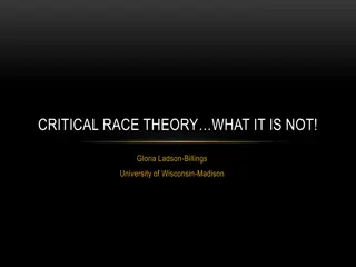 Critical Race Theory: Insights and Perspectives