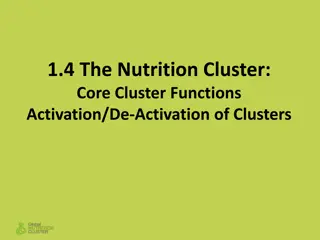 Nutrition Cluster Core Functions and Activation Strategies