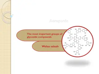 Overview of Important Glycoside Compounds and Their Properties