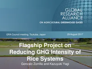 Flagship Project on Reducing GHG Intensity of Rice Systems