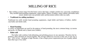 Overview of Rice Milling Systems and Modern Processes