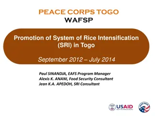 Promoting System of Rice Intensification (SRI) in Togo to Enhance Food Security