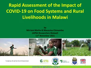 Impact of COVID-19 on Food Systems & Rural Livelihoods in Malawi