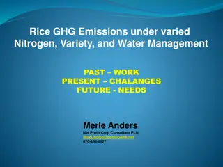 Rice GHG Emissions under Varied Nitrogen, Variety, and Water Management Study in Arkansas