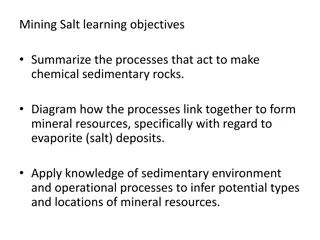 Formation of Salt Deposits: Processes and Mineral Resources