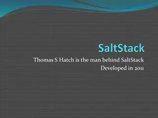 Understanding SaltStack: A Comprehensive Overview