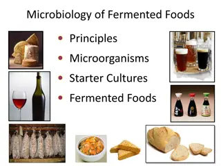 Exploring the Fascinating World of Fermented Foods and Microorganisms