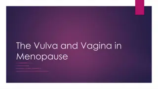 Understanding Vaginal Symptoms in Menopause and Barriers to Treatment