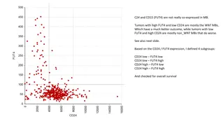 Expression Patterns of CD24 and FUT4 in Medulloblastoma