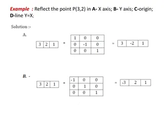 Geometric Transformations: Reflection, Shearing, and Sharing