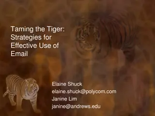 Effective Email Strategies: Taming the Tiger