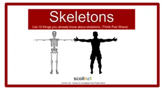 Unveiling the Intrigues of Skeletons: Explore, Learn, and Engage