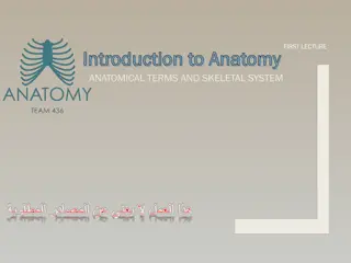 Introduction to Anatomy: Anatomical Terms and Skeletal System