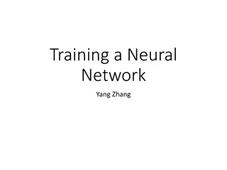 Neural Network Training and Structure