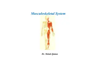 The Musculoskeletal System and Common Bone Disorders