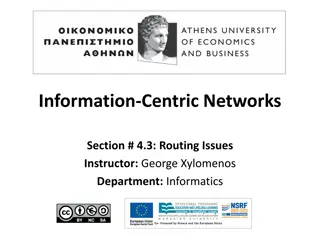 Routing Issues in Information-Centric Networks