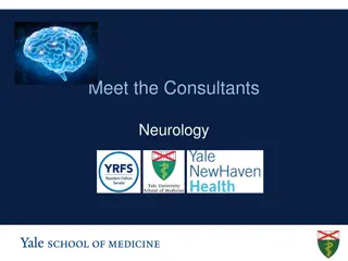 Neurology Consultants Service Structure Overview