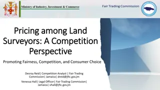 Pricing and Competition in Land Surveying from a Competition Perspective