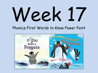 Week 17 Phonics First Words to Know Power Point Presentation