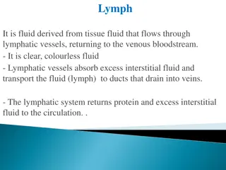 The Lymphatic System: Functions and Importance