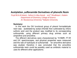 Acetylation Sulfonamide Derivatives of Phenolic Resin Study