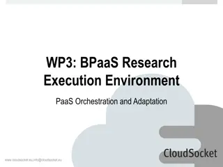 Advancing BPaaS Research: PaaS Orchestration & Adaptation