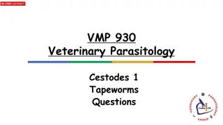 Tapeworm Infections in Veterinary Parasitology