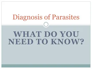 Parasite Diagnosis: What You Need to Know